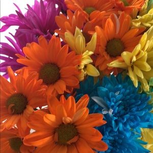 Meet your Posher, Athena